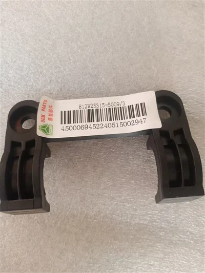SITRAK Combination Teeb Siab Plate 812W25315-5009